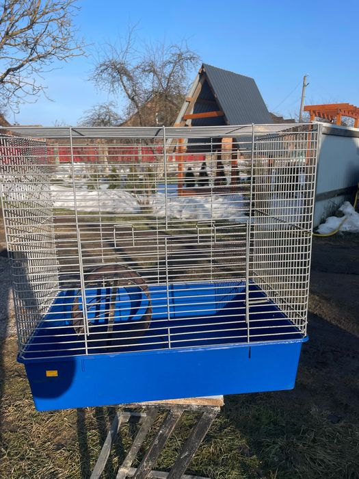 Клітка для гризунів