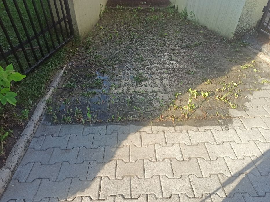 Mycie Czyszczenie kostki brukowej Rzeszów i podkarpackie