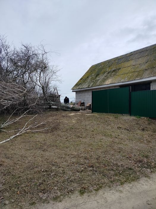 Професійне обрізання аварійних дерев