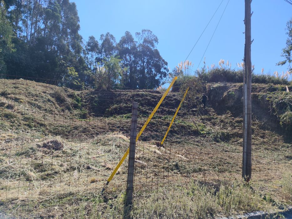 Limpeza de terrenos