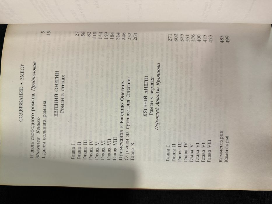 П. С. Пушкин. Евгений Онегин.