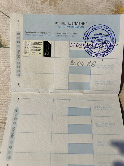 Віддам цуценят в добрі руки!