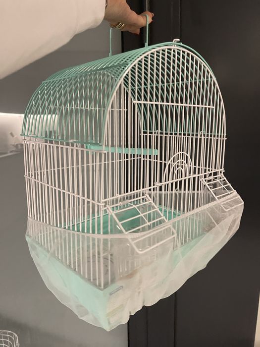 Gaiola Agapone cor verde água