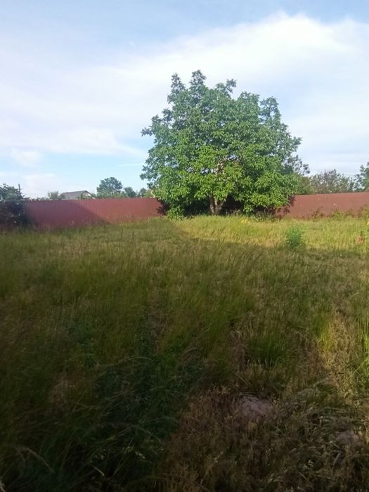 Продам будинок під пансіонат,реабілітаціонний центр.Путровка,Васильків