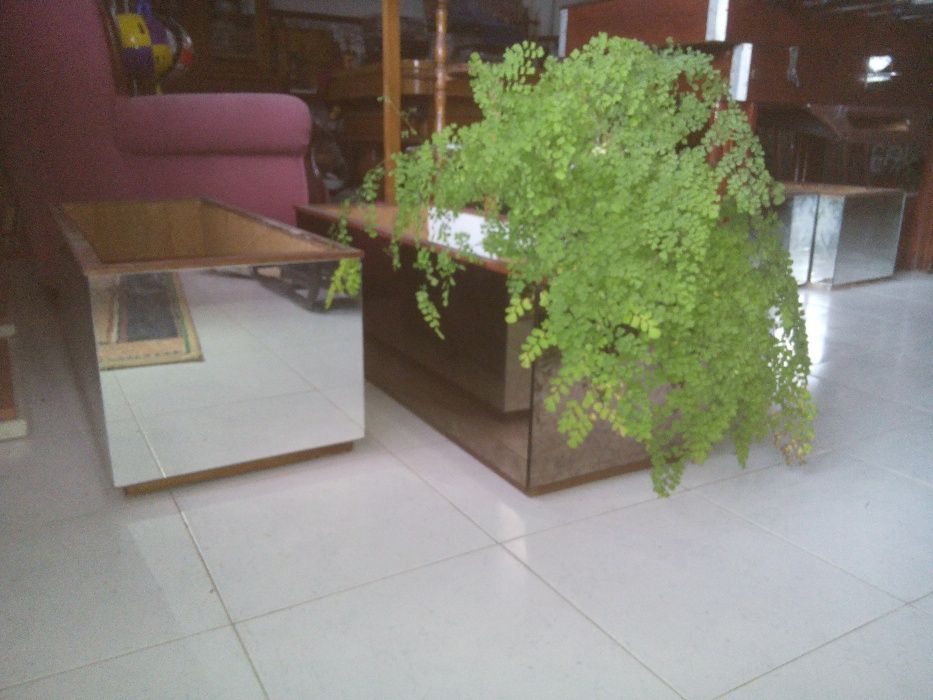 Floreiras para vasos