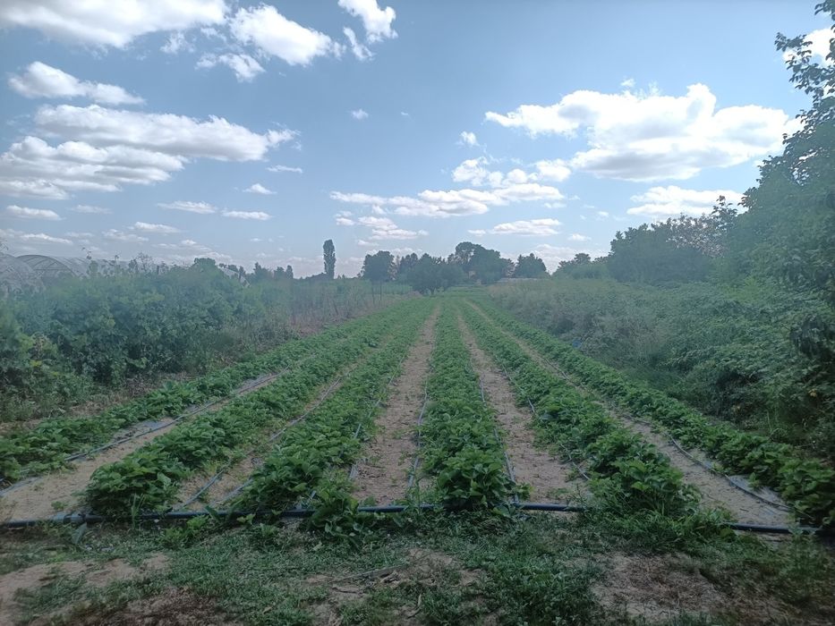 Продається Продається 4-хкімнатний будинок в с. Тисобикень Закарпаття