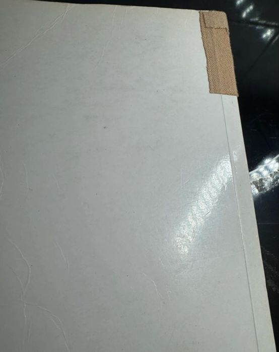 Anatomia I Fizjologia Gołąb Traczyk