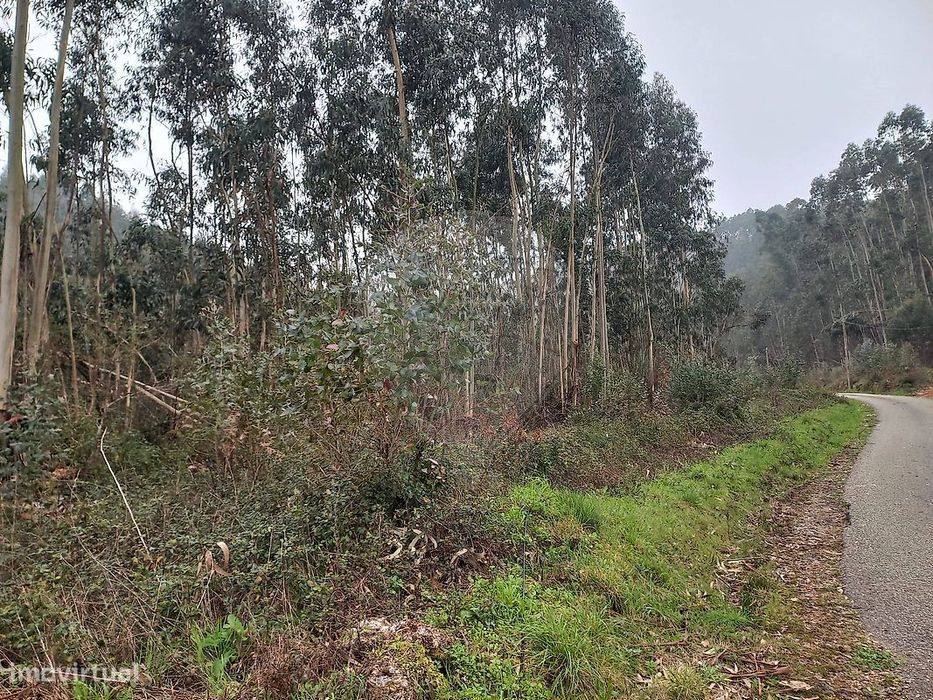 Terreno  para venda