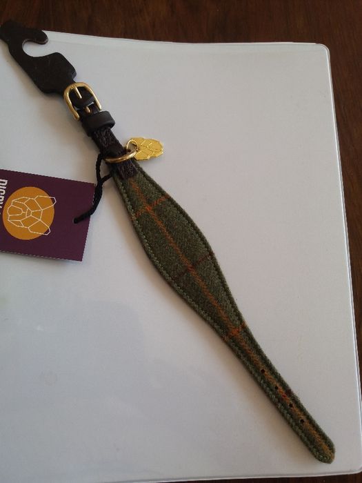 Coleira para cão de pequeno porte