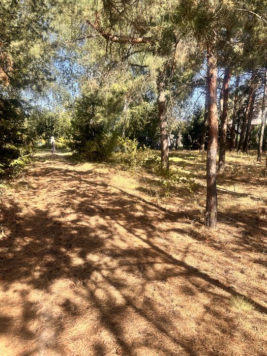 Продам дачу Кийлів, район Центрального пляжу-дамба