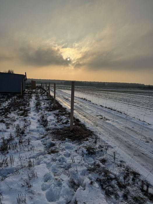 Ogrodzenia Budowlane Tymczasowe - Siatka leśna