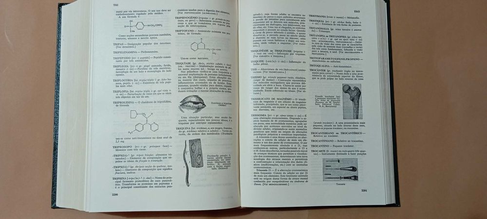 Dicionario Enciclopédico de Medicina