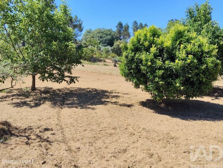 Terreno em Castelo