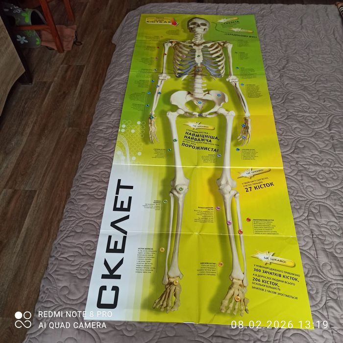 Дитяча пізнавальна література  для дітей молодшого шкільного віку.