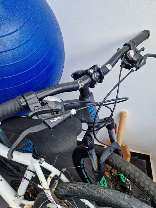 2 Bicicletas 1 BERG+1 MX