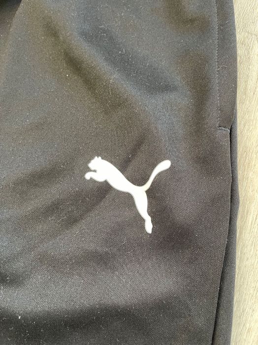Spodnie męskie puma