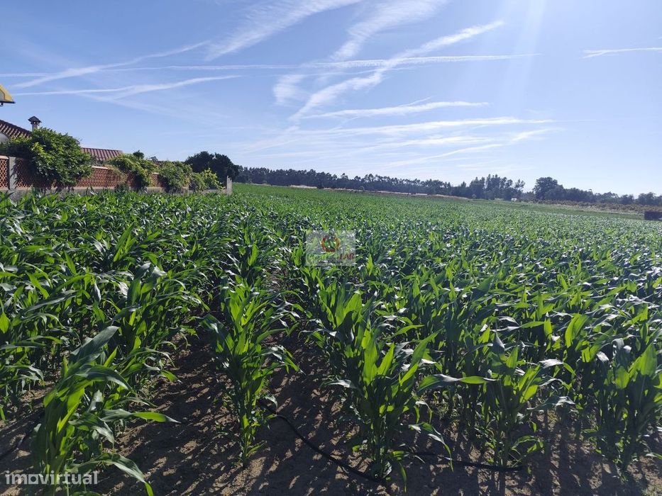 Plot in Ouca with Construction Feasibility