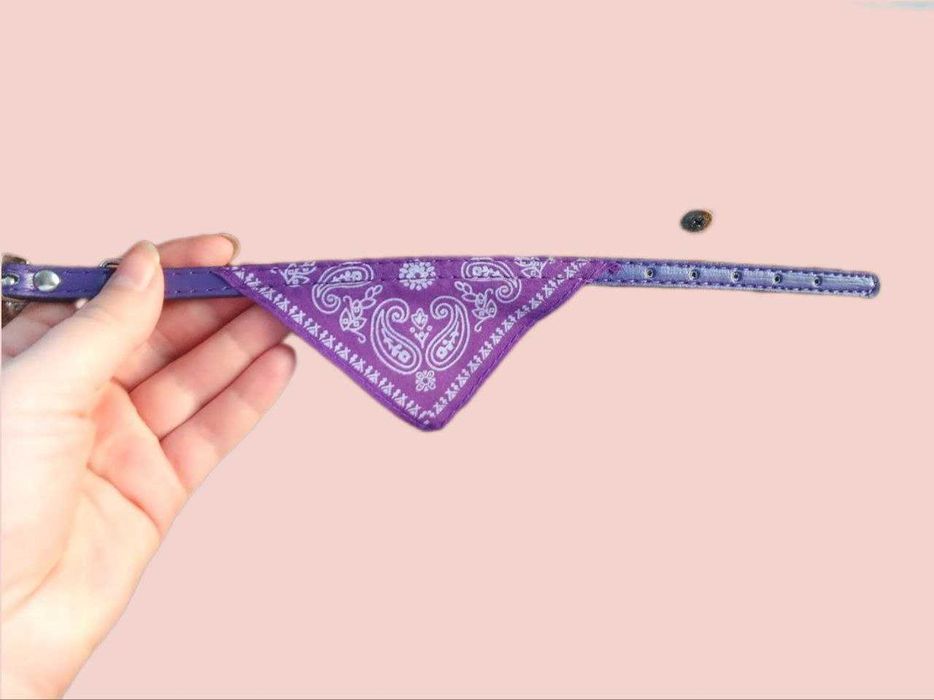 Бандана-ошейник для кошек и собак в ассортименте