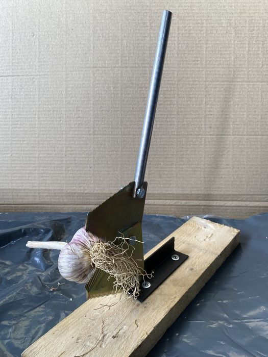 Станок для обрізки часнику / Секатор / обрізка часнику !