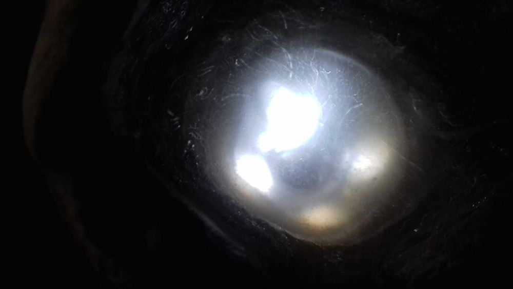 vendo fonte de água em bom estado