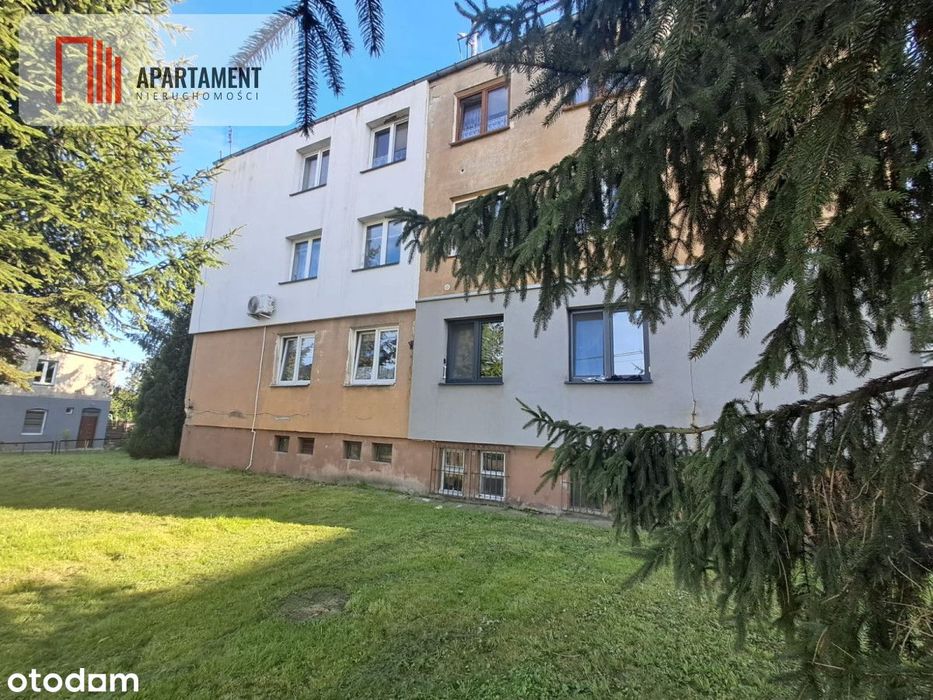 Bezczynszowe!Remont 2024! 2 pokoje+ogród 500m2z KW