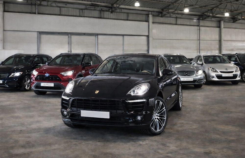 João Brito top banner