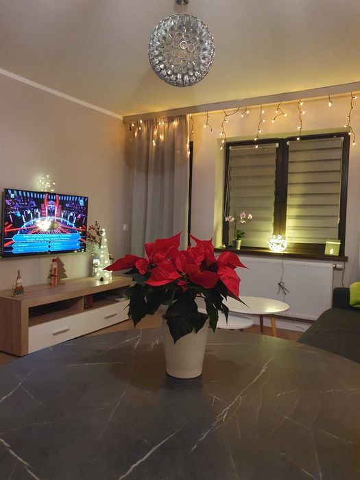 Karpacz  Szklarska Poręba Jelenia Góra-FERIE Zima 2026 w Karkonoszach