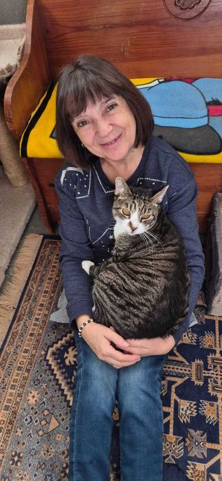 Gato para adoção consciente