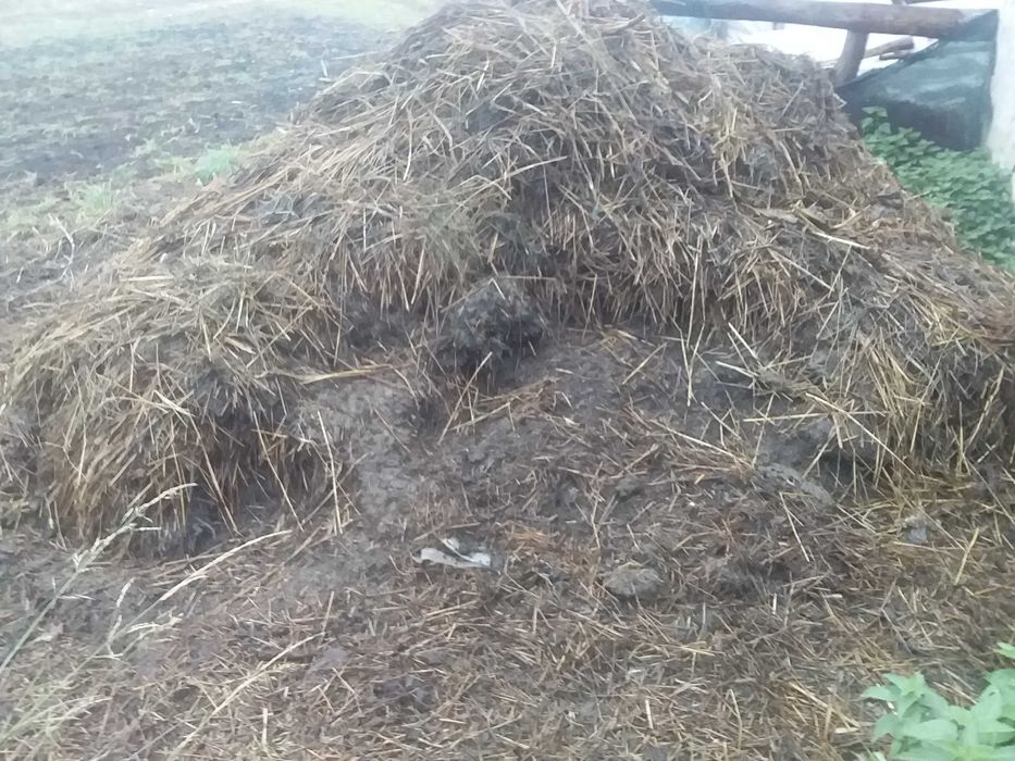 продається коровячий гній