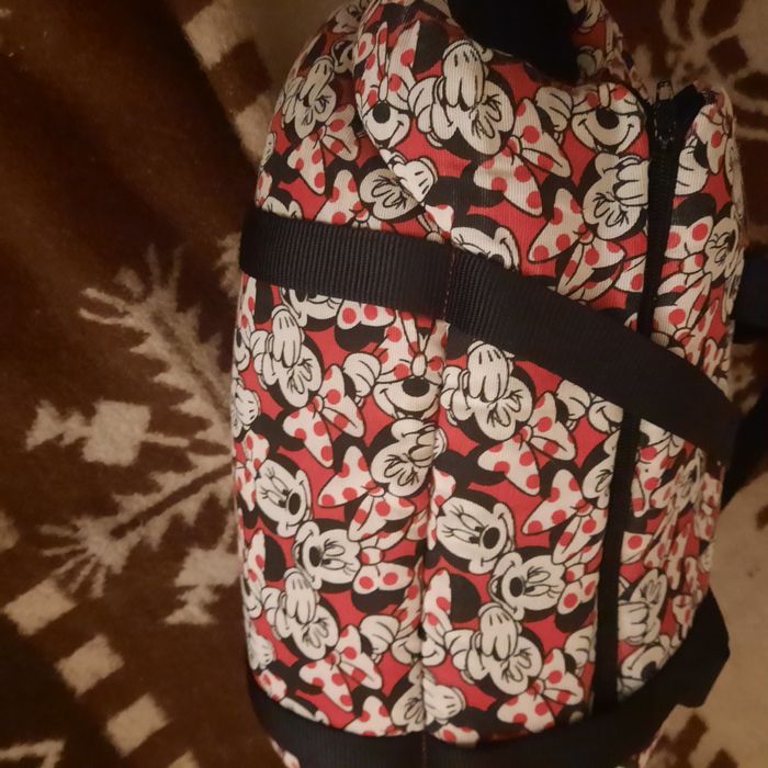 Transporter dla malego psa