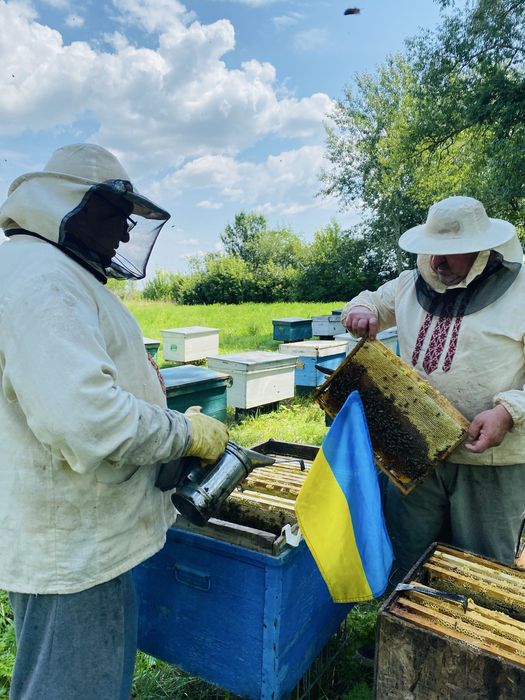 Продам бджолосімї, бджіл Переяслав
