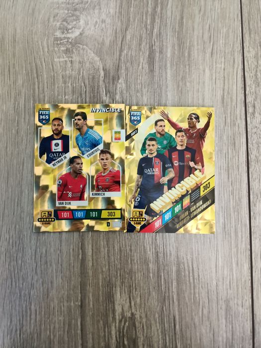 2 karty invincible panini