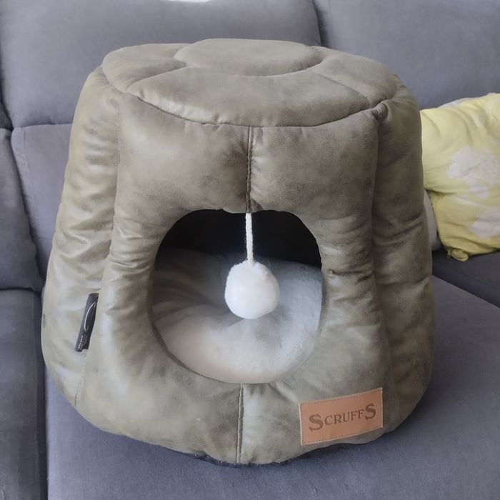 Cama de Gato novo