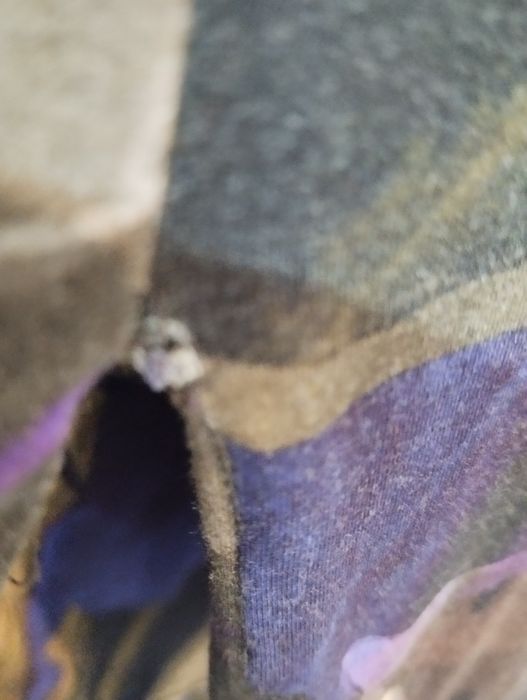 Risk made in Warsaw sukienka