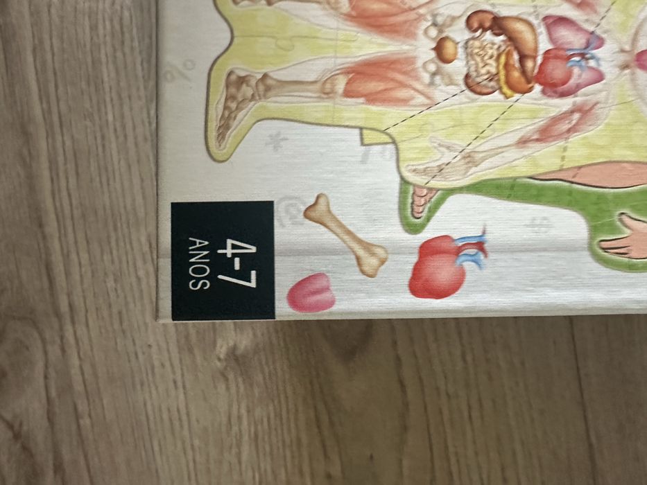 Puzzle corpo humano