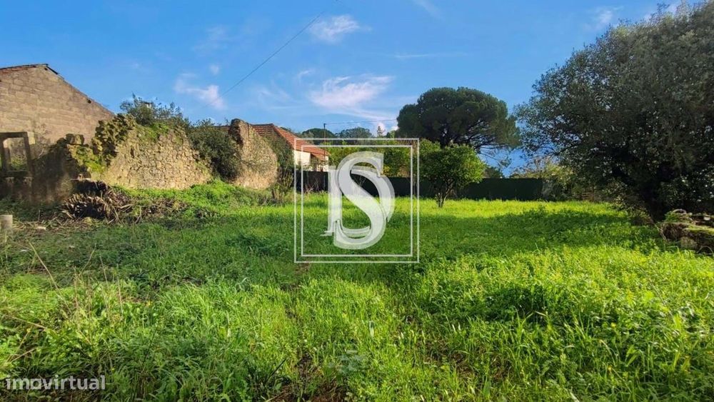Ruína em Outeiro Grande — Torres Novas (São Pedro), Lapas E Ribeira Branca, Santarém