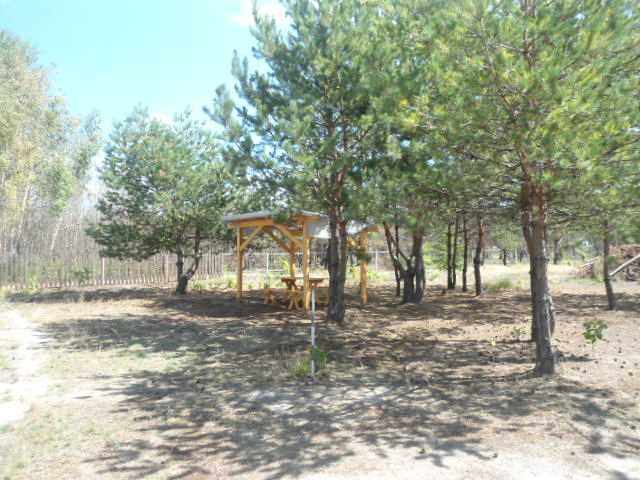 Продажа,обмен участка от 0.24Га с.Нежиловичи, застройка в лесу