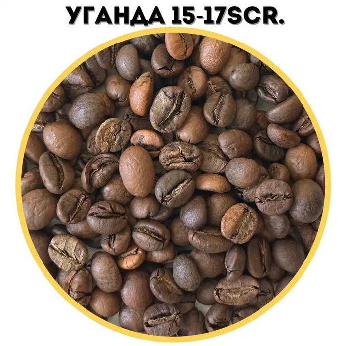 Зернова кава Royal Coffee Робуста Уганда Свіжа обсмажка Опт і Роздріб
