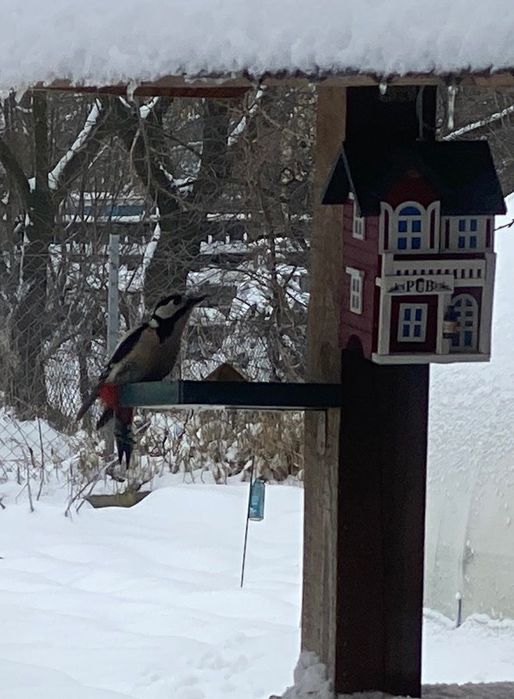 Продається будинок 40 хв від Київа, розвінена інфраструктура.