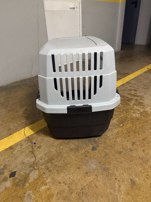 Transportadora de animais (cão)