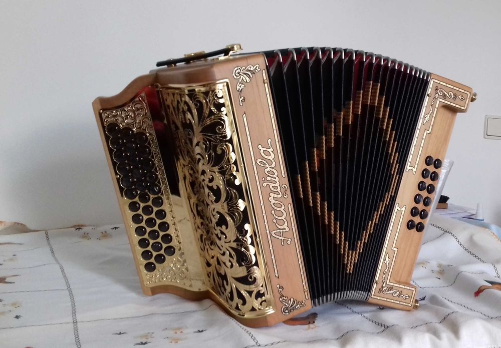 ARTURIA, Ketron, Roland, Accordion, Borsini, etc - STOCK OUT64173121107585121