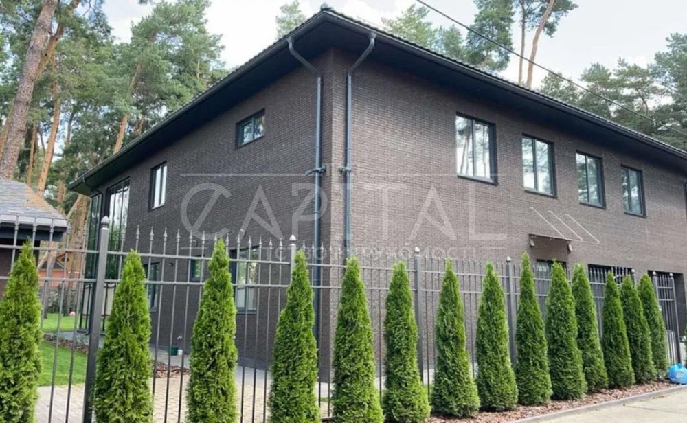 будинок в сосновому лісі Петропавлівська Борщагівка ,