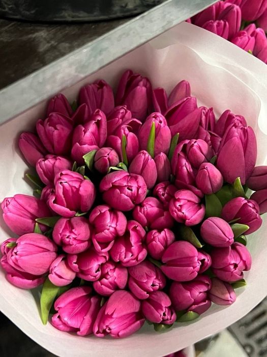 Тюльпани Українські | Голландські | Букет або поштучно | Малий ГУРТ