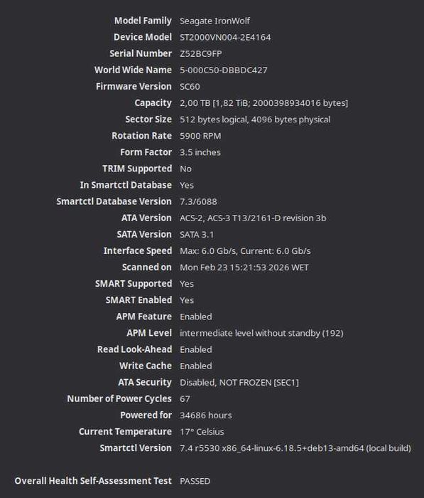 Seagate IronWolf 2TB (ST2000VN004)
