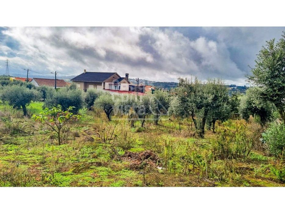 Terreno com Viabilidade de Construção - 456 m² | Próximo de Leiria