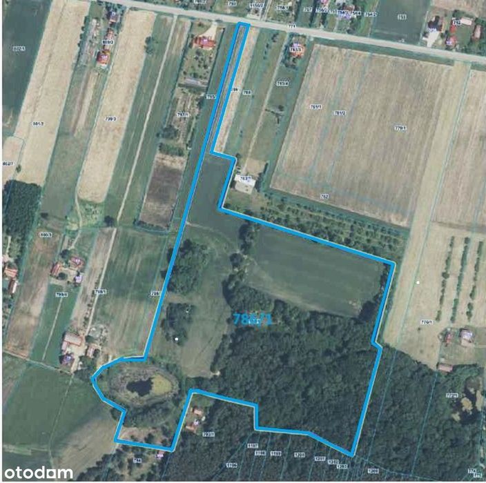 Działka o pow. 7,56 ha budowlano-rolna ze stawem. - Widok 3