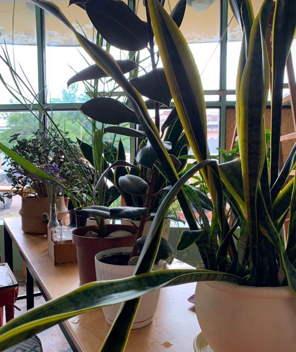 Продається готовий бізнес - кафе з прибутком у прохідному місці