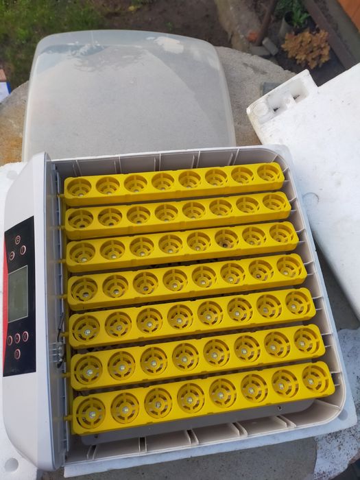 Inkubator do  jajek