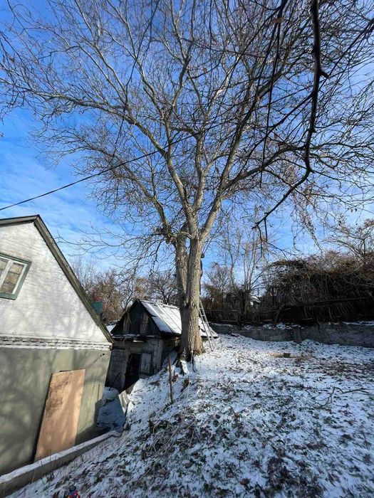Обрезка деревьев с Бесплатным вывозом Жми , Спил деревьев  Дробление