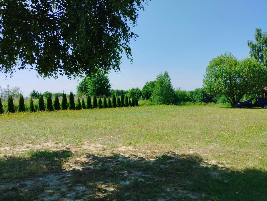 Zdjęcie 6